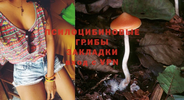 кокаин Бородино