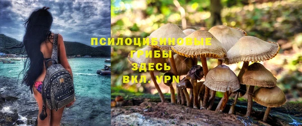 кокаин Бородино